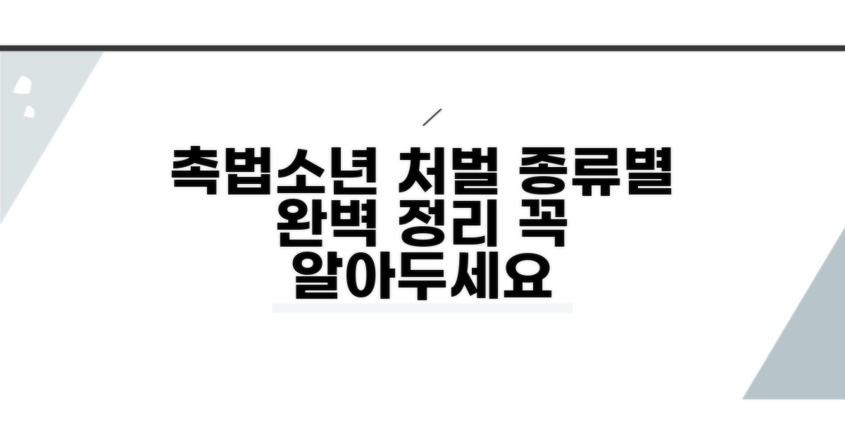 촉법소년 처벌 종류별 구분