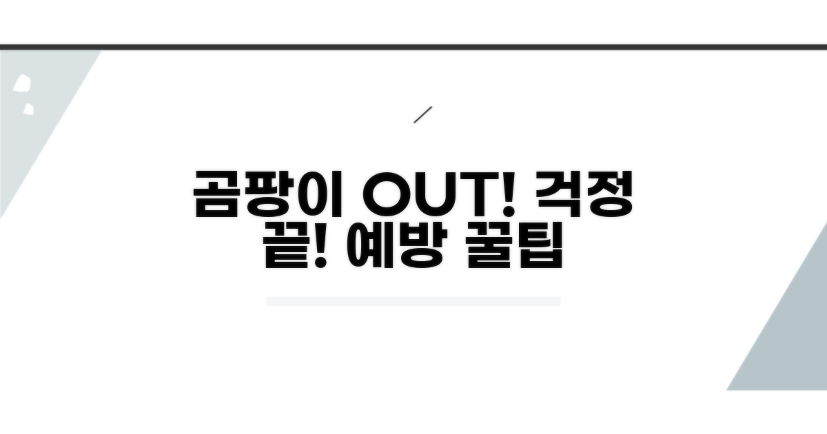 곰팡이 걱정 끝! 예방 꿀팁까지