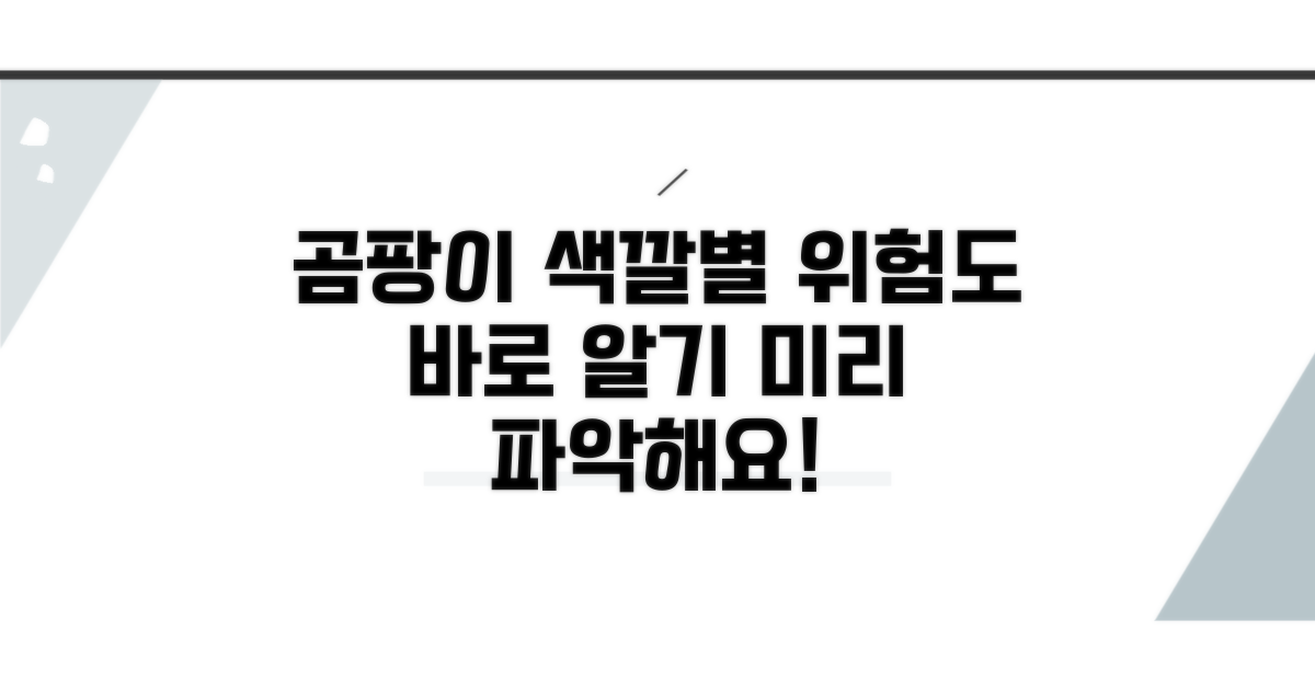 색깔별 곰팡이 특징과 위험도 미리 파악