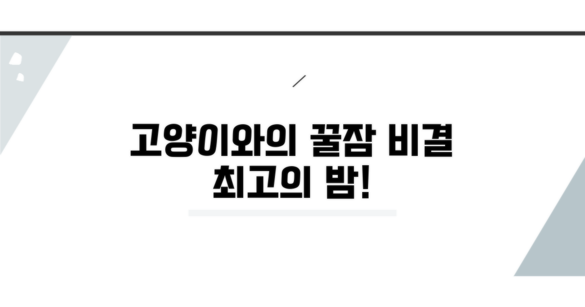 고양이와 편안한 밤 보내기