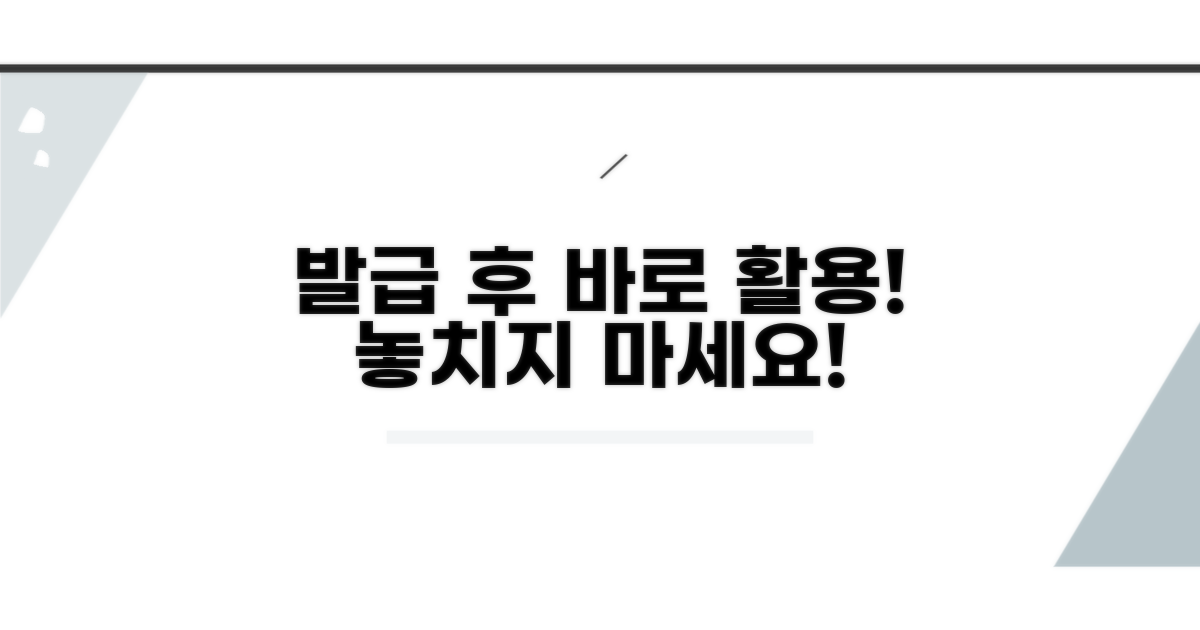 발급 후 활용법 및 주의사항