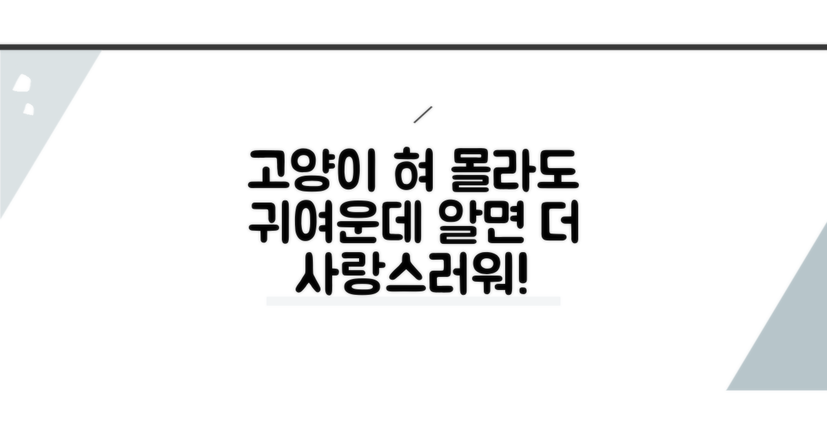 고양이 혀, 알면 더 사랑스럽다