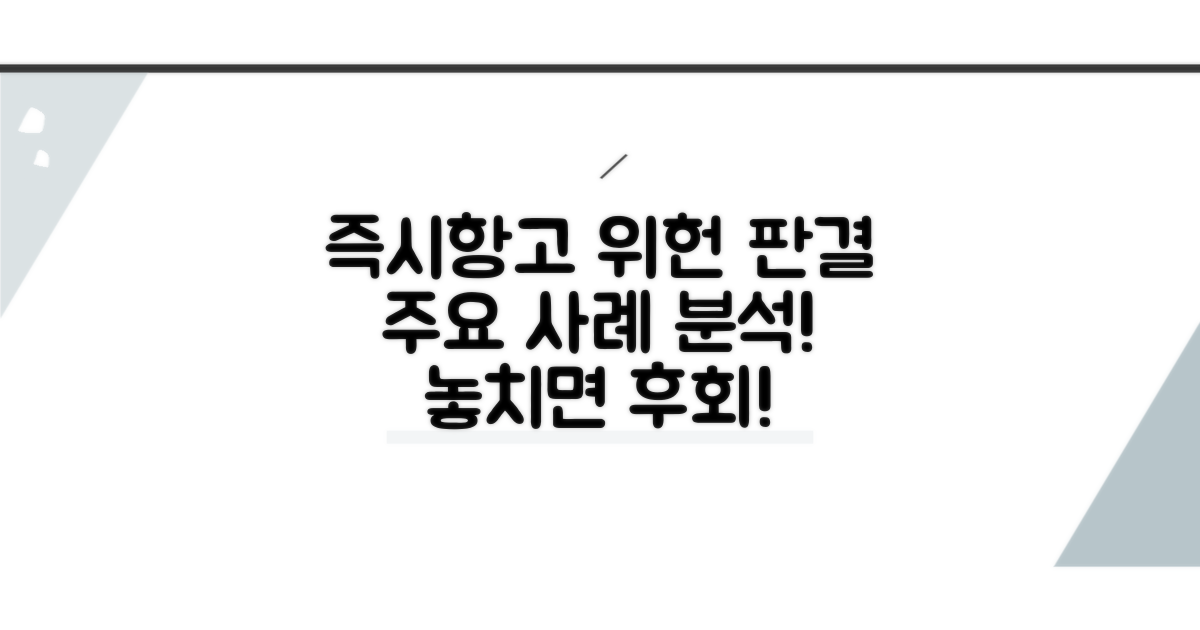 즉시항고, 위헌 판결 주요 사례