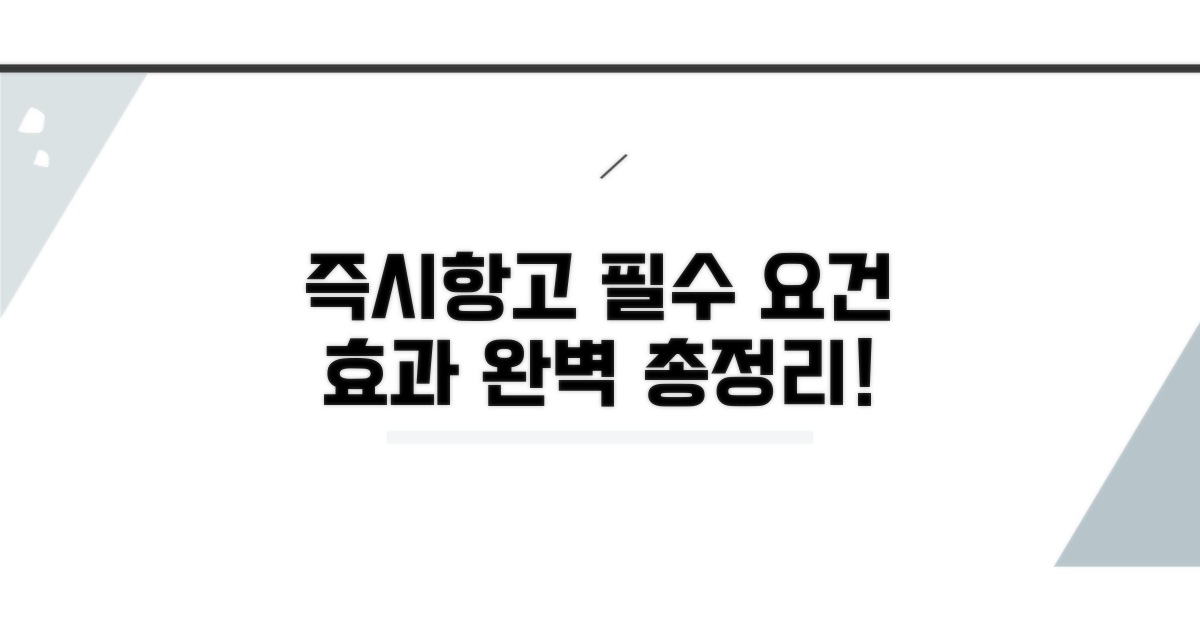 즉시항고 요건과 효력 완벽 정리