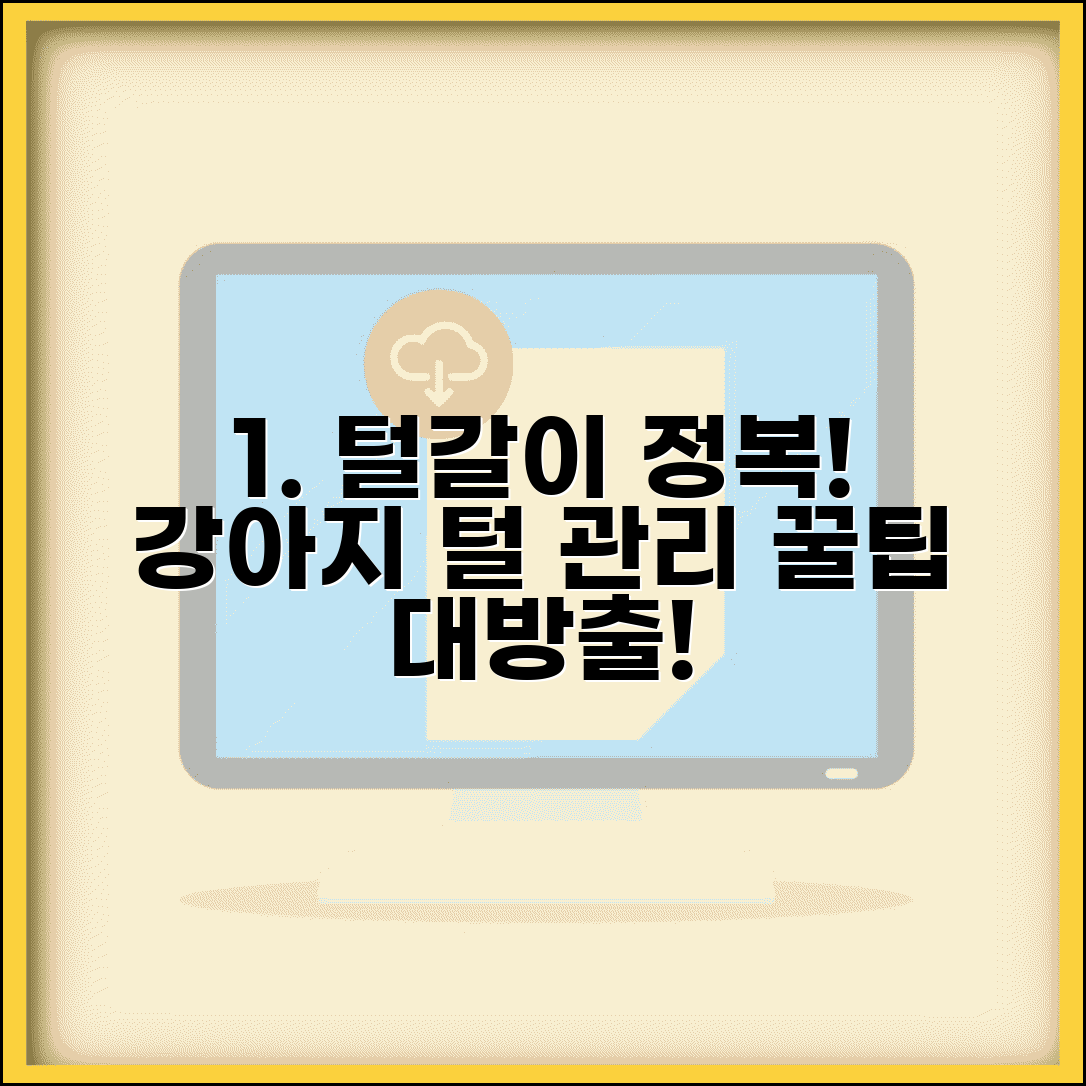 강아지 털 빠짐 시기 관리 방법 청소 | 털갈이 시기 대처법과 꿀팁 총정리