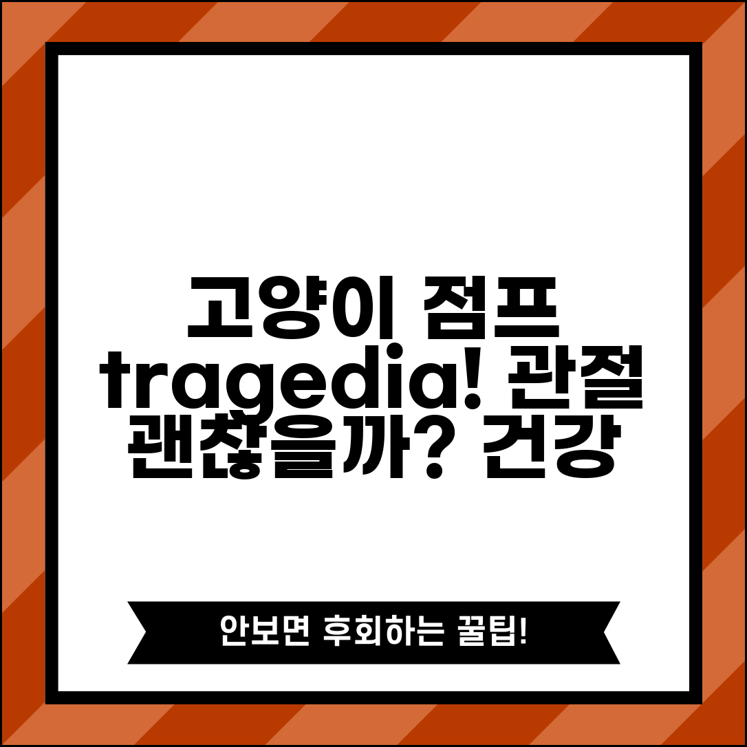 고양이가 높은 곳에서 뛰어내리면 관절에 안좋나요 | 고양이 관절 | 점프 | 건강