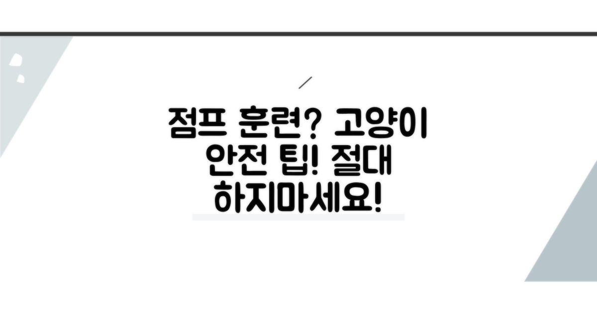 고양이 점프 훈련 시 주의점