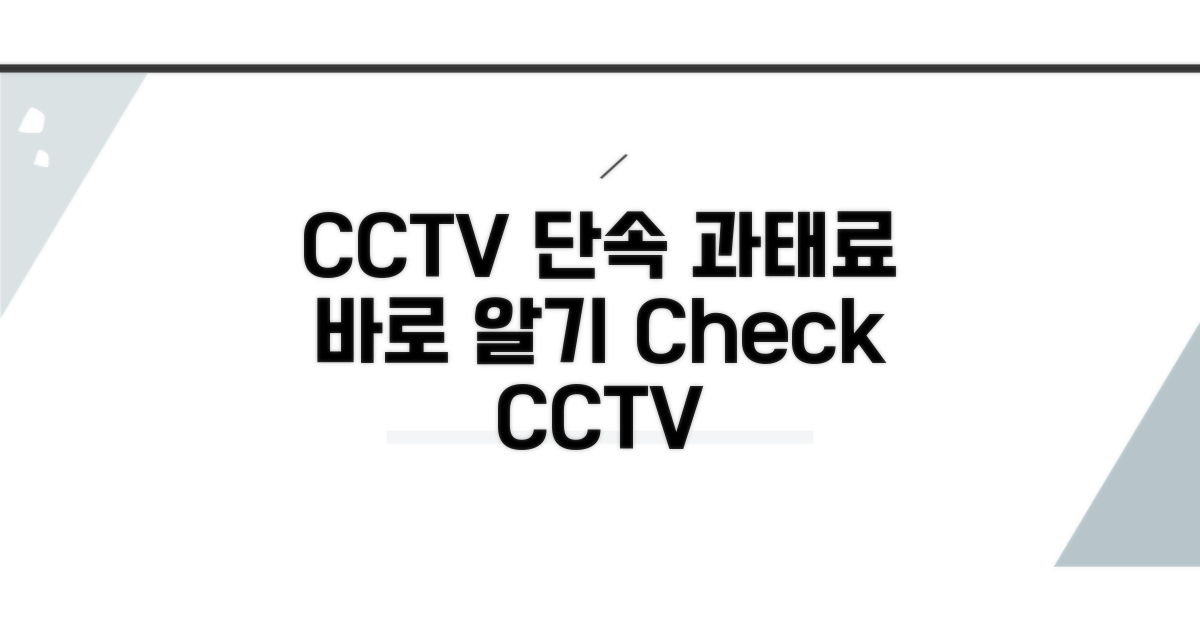 CCTV 단속 기준과 과태료 정보