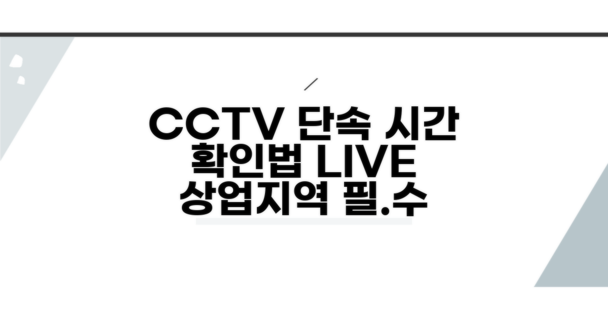 상업지역 CCTV 단속 시간 확인법