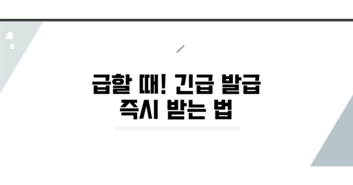 급할 때 필요한 긴급 발급 방법