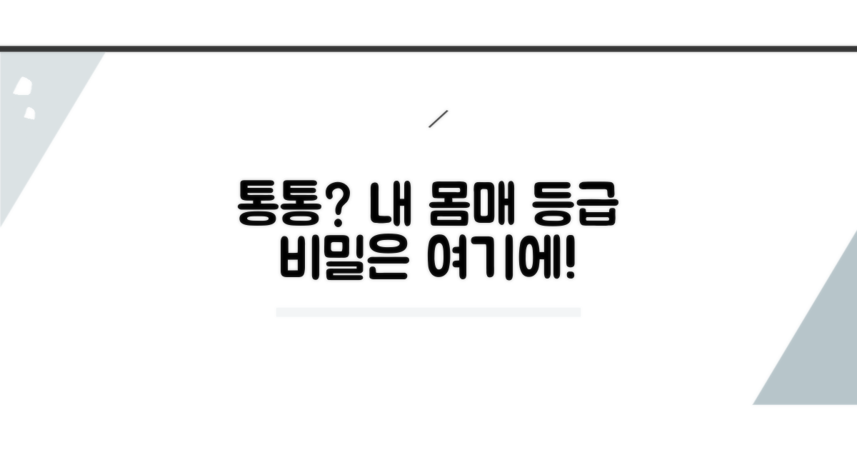 통통 여성 체형 등급 기준