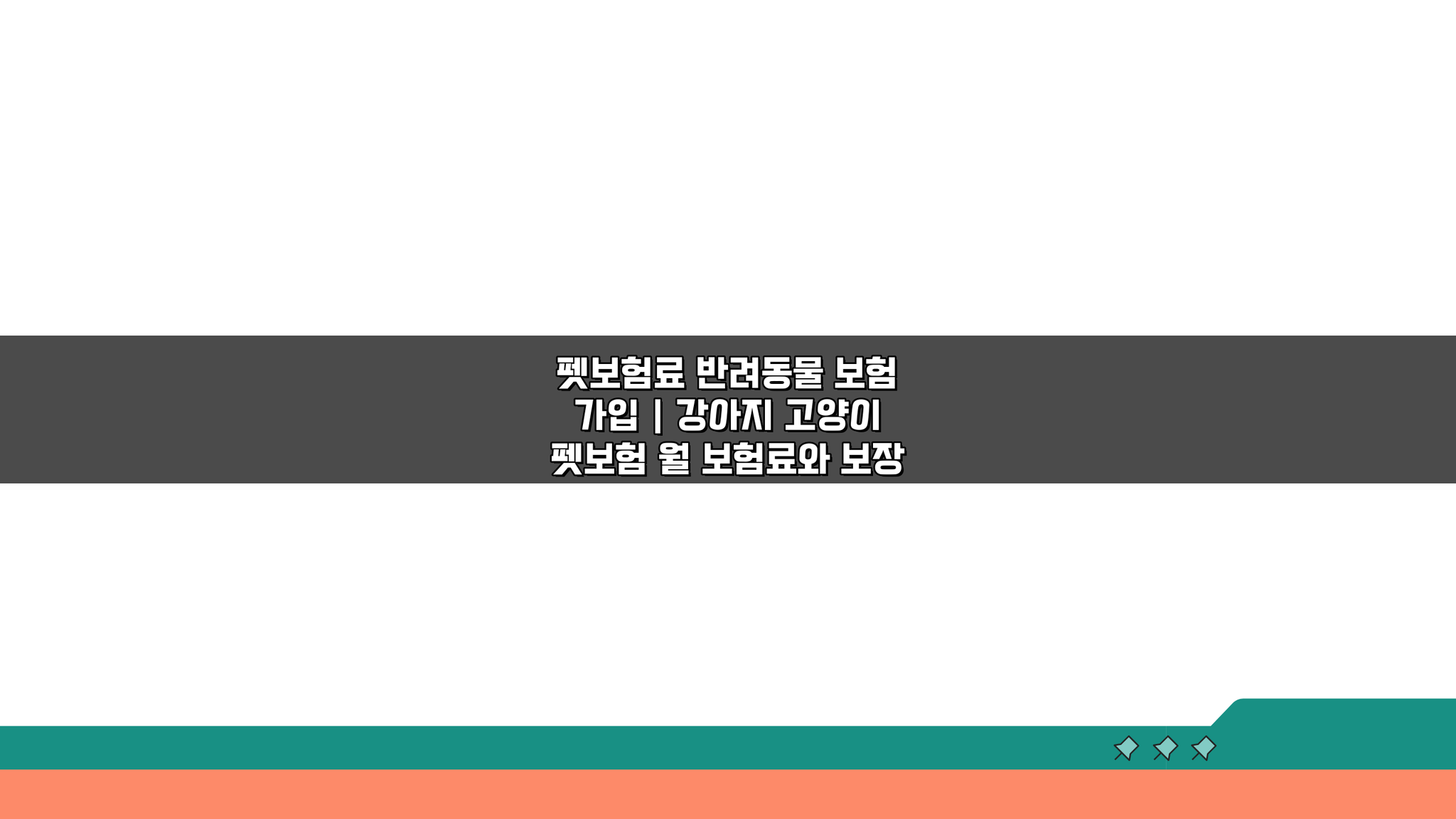 펫보험료 반려동물 보험 가입 | 강아지 고양이 펫보험 월 보험료와 보장 5가지 핵심 비교