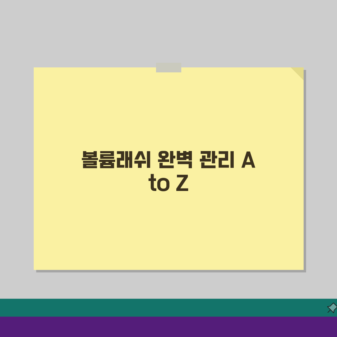 서울 광진구 구의동 속눈썹연장 잘하는곳: 포인트래쉬 볼륨래쉬, 관리법 A to Z